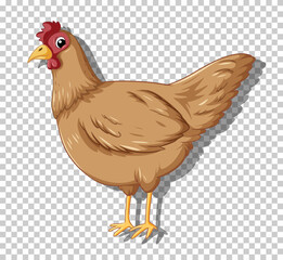 Cute chicken in flat cartoon style