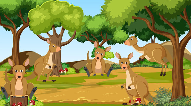 Kangaroos in the forest scene