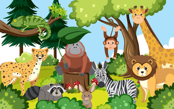 Cute wild animals in the forest