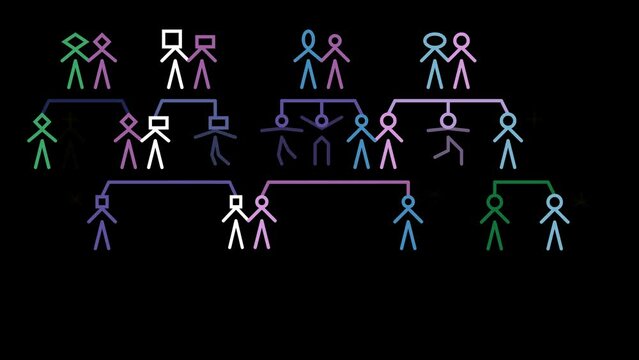A family tree genealogy infographic animation merges two families by marriage showing the relationship of four generations.