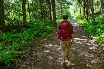 Obraz premium A young man with a red backpack hiking a wooded trail in Chugach National Forest, Alaska.
