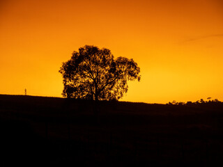 Fototapeta premium SUNSET