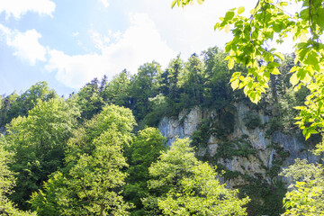 spring in nature, a natural park, a mountain river in a natural channel with rapids and waterfalls.