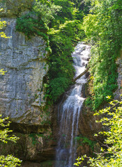 spring in nature, a natural park, a mountain river in a natural channel with rapids and waterfalls.