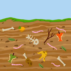 Compost soil. Layer of earth in section with worms. Farming and food waste