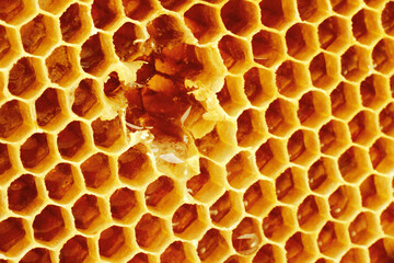 Yellow Honeycomb closeup structure