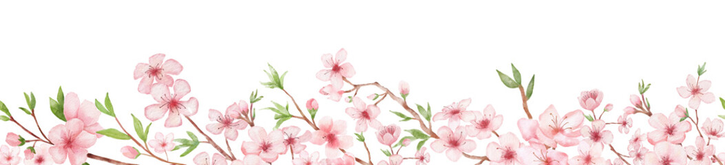 Naklejka na ściany i meble Branch of Cherry blossom watercolor seamless border on white backgraund. Japanese flowers frame. Floral pink background