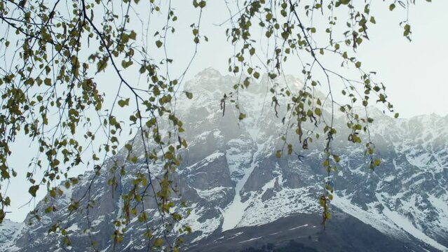 Beautiful view through branches on mountain covered with snow and mist. Majestic foggy morning in mountains in nature reserve. Travel around the world
