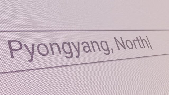 Search Bar Pyongyang North Korea 
Close Up Single Line Typing Text Box Layout Web Database Browser Engine Concept