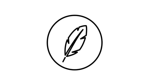 Feather line icon inside circle, soft feather, line icon video animation.