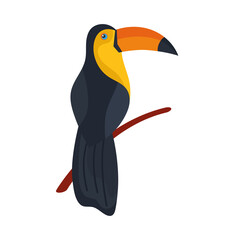 exotic toucan bird © Gstudio
