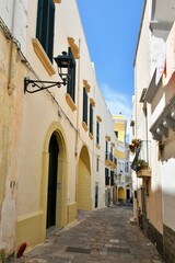 A narrow street between the old houses of Gallipoli, an old village in the province of Lecce in...