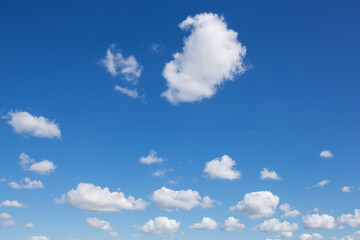 many small cumulus clouds, against the blue sky, one cloud is separate