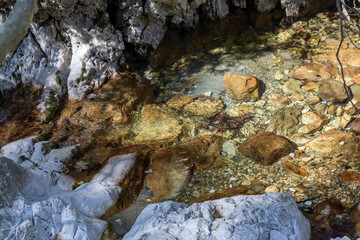 A fast mountain river flows on a sunny summer day (Central Macedonia, Greece)