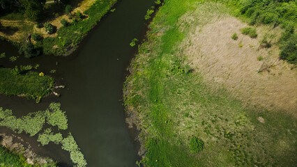 Yellow water lilies on the river in the city park. Aerial photography.
