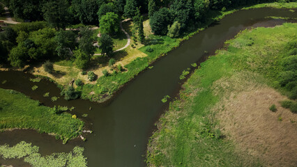 Fototapeta premium Yellow water lilies on the river in the city park. Aerial photography.