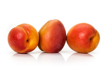 Fototapeta na wymiar Fresh organic apricot isolated on white background