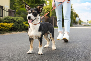 Woman walking her cute dog on city street, closeup