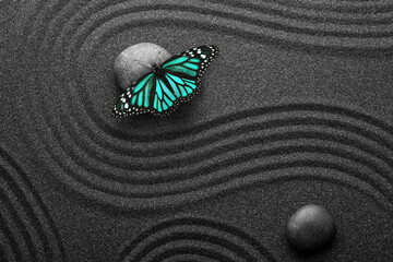 Fototapeta na wymiar Beautiful butterfly and stones on black sand with pattern, flat lay. Zen concept