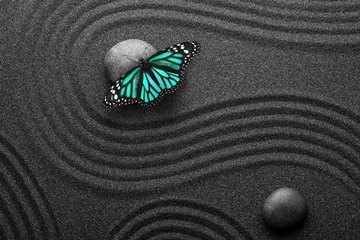 Foto op Canvas Beautiful butterfly and stones on black sand with pattern, flat lay. Zen concept © New Africa
