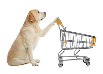 Cute dog and shopping cart on white background © New Africa