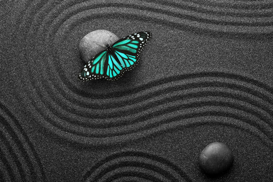 Beautiful Butterfly And Stones On Black Sand With Pattern, Flat Lay. Zen Concept