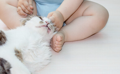 cute baby little boy playing on the floor with a kitty cat, dragging mustaches.home pets,happy toddler pull the cat's mustache and muzzle.