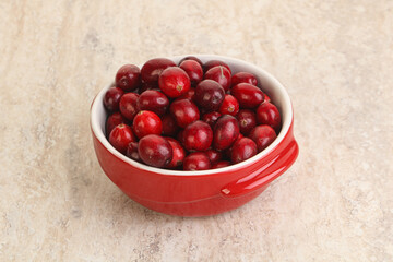 Ripe sweet tasty cranberry in the bowl