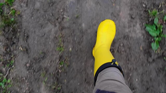 Gardener feet walk on the ground. Person in yellow rubber boots walks on dirt land road. Autumn. Close-up. View from above. Body part. A farmer walks around the farm. The concept of movement is life.