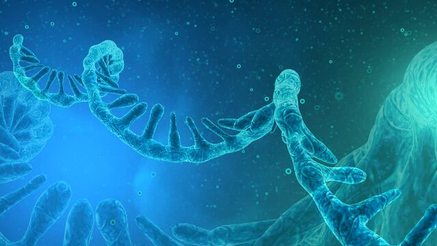 Single-stranded RNA genome. Coronavirus SARS-CoV-2. 3D rendering