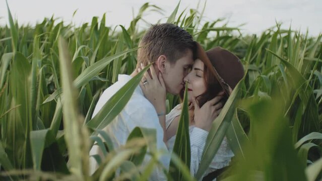 Beautiful couple in the corn field. Handled Shot couple hugging and kissing farmland.Caucasian woman holding guy's face in her arms with closed eyes.Date, love and lifestyle concept.