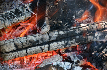 Burning firewood close up. Firewood burning on the grill. bonfire close up
