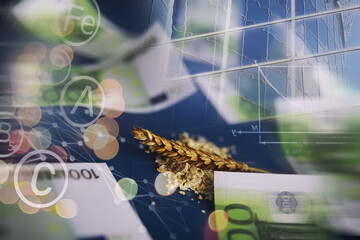 World grain crisis. Double exposure. A handful of cereals and euro banknotes on a blue background.