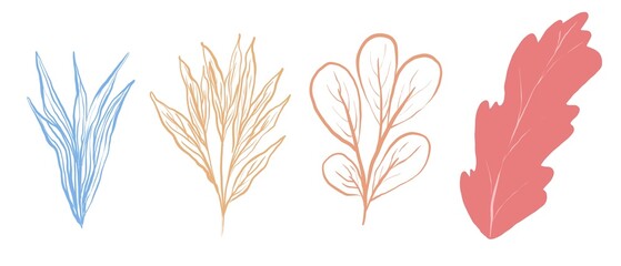 Nice minimalistic background with patterns and plants. Beautiful lines and colors. Background with plants. Beautiful wallpaper and templates