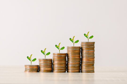 Tree on pile of coins are lined up on the table from small to large size shown in the form of a graph , reward for life ,money growth and business concept
