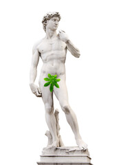 Obraz premium Censored concept. Michelangelo's David statue with green leaf