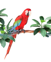 Ara parrot sits on a branch among tropical leaves