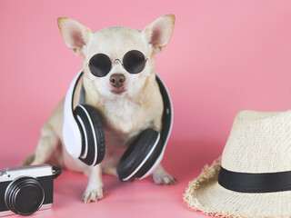 brown chihuahua dog wearing sunglasses and headphones around neck, sitting  on pink background with straw hat and camera. Summertime  traveling concept.