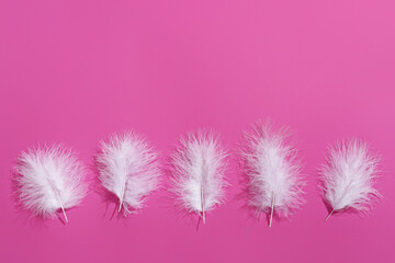 Many white feathers on pink background