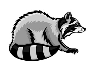 Animal raccoon icon isolated on white background. © Lenan