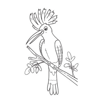 recommend clip art: coloring pages or books for kids. cute hoopoe cartoon illustration