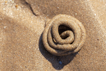 Fototapeta na wymiar Arenicole sea twist on the sand of a beach of the Adriatic coast of Italy