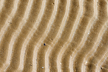 Fototapeta na wymiar Sand texture on the beach close to the Adriatic sea