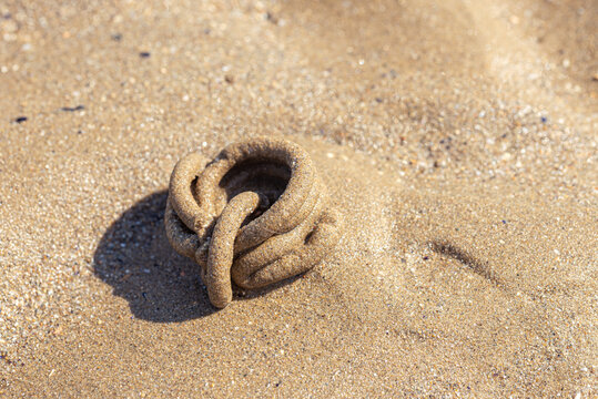 Arenicole sea twist on the sand of a beach of the Adriatic coast of Italy