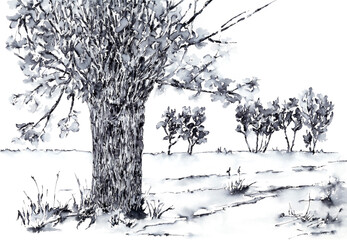 Landscape with willow tree. Ink on paper.