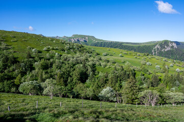 Paysage de printemps en Auvergne dans les Monts Dore et le massif du Sancy en France autour du col de La Croix Saint Robert