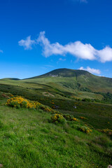 Paysage de printemps en Auvergne dans les Monts Dore et le massif du Sancy en France autour du col de La Croix Saint Robert