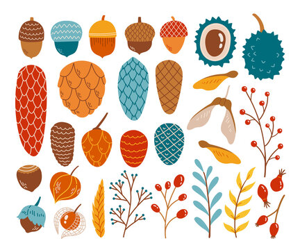 Hello autumn fall season cone acorn set vector