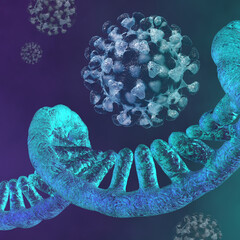 Coronavirus RNA strand. Medical illustration. 3D rendering - obrazy, fototapety, plakaty