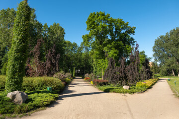 Obraz premium Park Marii Konopnickiej In Ciechanow, Poland